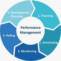 چرخه مدیریت عملکرد کارکنان